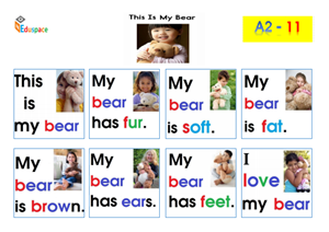 A11- Print A3-This is may Bear